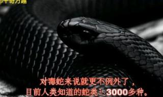 十大最恐怖生物 世界十大最毒的蛇