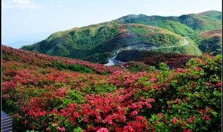 山丹丹开花红艳艳是哪部电视插曲 山丹丹开花红艳艳原唱